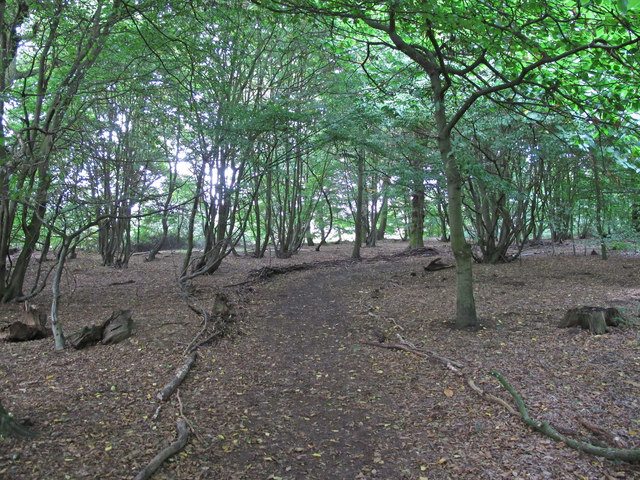 Crowsheath Wood Nature Reserve