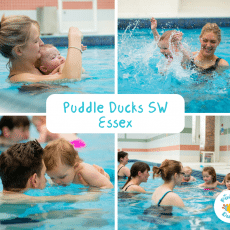 Puddle Ducks South West Essex