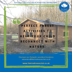 The Treehouse Club - Forestry Nursery & Out of School Club