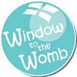 Window TO The Womb Leicester