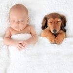 A Mum's Experience: Introducing Pets to a Baby