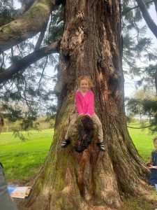MarkshallEstate Review Essex Mums_Tree photo