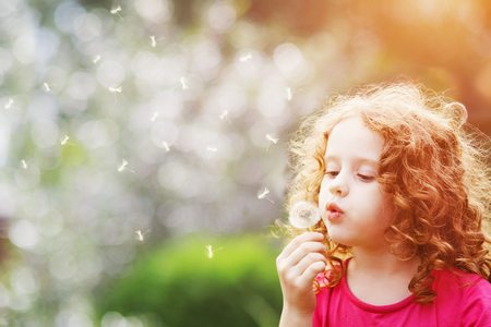 What’s On May Half-Term: Events + Free Days Out in Essex