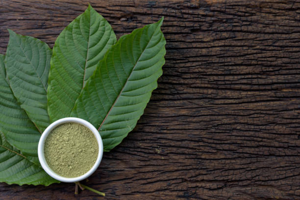 All you need to know before buying Green Riau Kratom